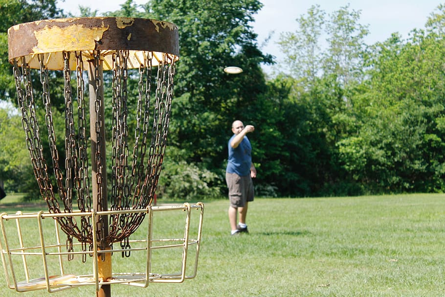 Disc Golf Scene