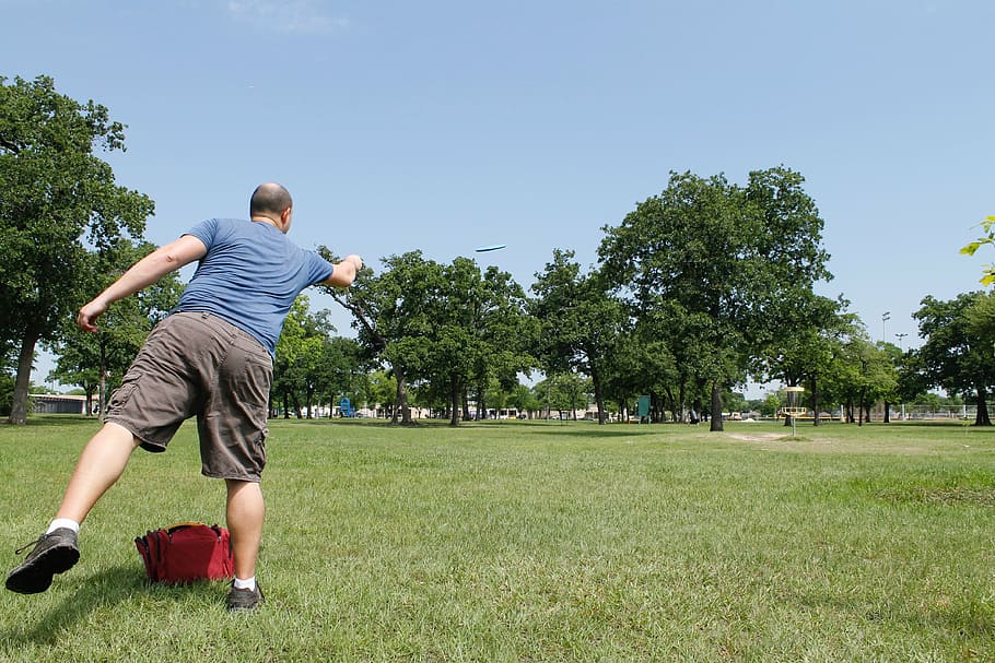 Disc Golf Scene