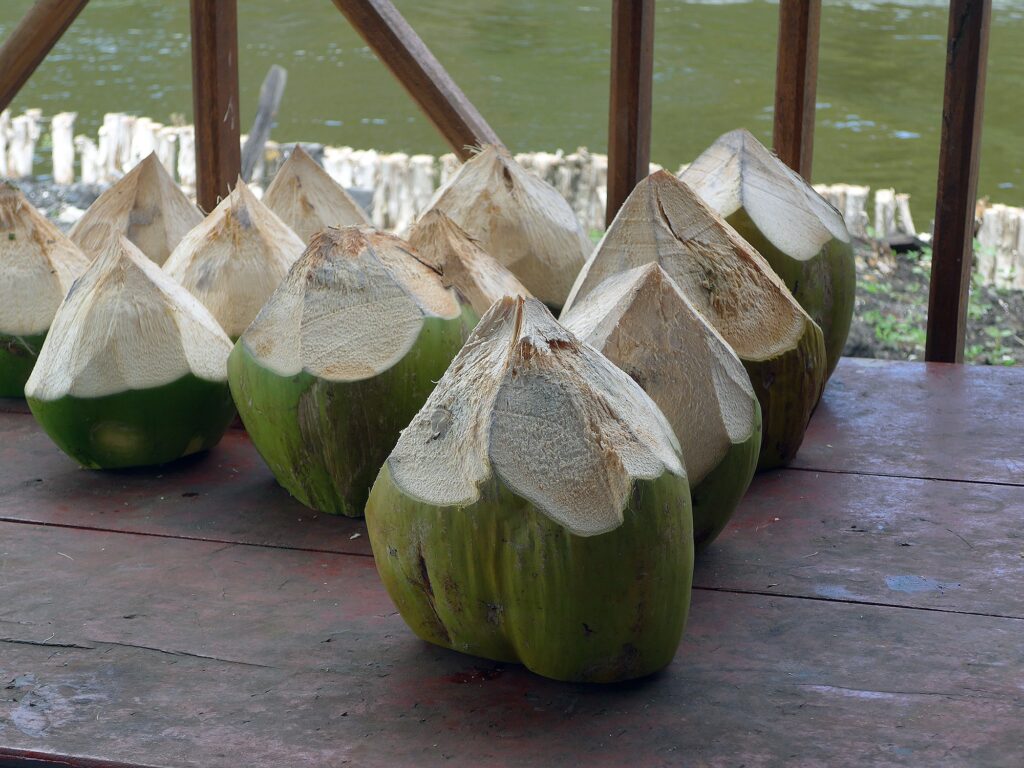 Coconut Water May Help With Ulcerative Colitis